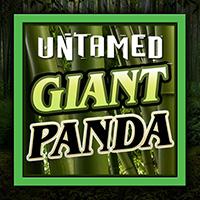 Untamed Giant Panda